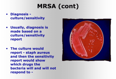 mrsa ems-ce demo