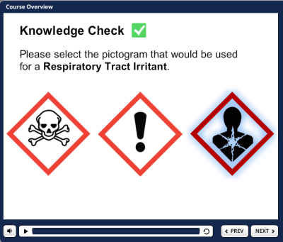 A screen shot of the knowledge check page.